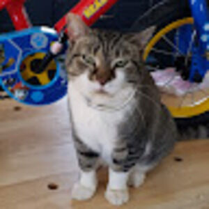 Meet your Posher, Larry